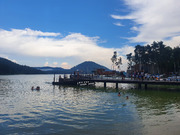 20200811_153658.jpg