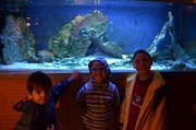 DSC_0038.JPG