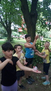 IMG_20190606_160145.jpg