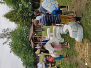IMG_20190623_120348.jpg