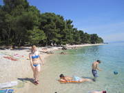 IMG_6159.JPG