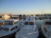 IMG_6174.JPG