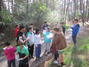 IMG_7203.jpg