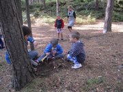IMG_7204.jpg