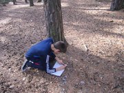 IMG_7207.jpg