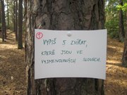 IMG_7208.jpg