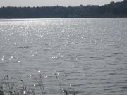 IMG_7213.jpg