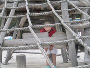 IMG_7224.jpg
