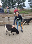 Jak dřevěný domeček, přivezl pár oveček (15).jpg