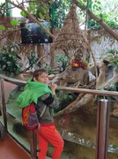 Jak dřevěný domeček, přivezl pár oveček (8).jpg