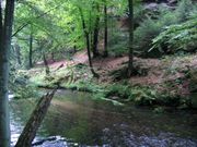 Janov 06 007.jpg