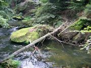 Janov 06 008.jpg