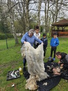 Jaro - čas zkracování (5).jpg