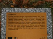 P9180126.jpg