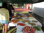 PDP-2013-0041-300x225.jpg