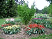 Pruhonice 06 016.jpg