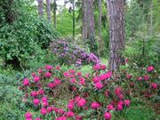 Pruhonice 06 021.jpg