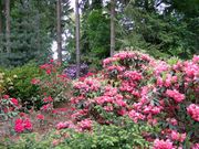 Pruhonice 06 027.jpg