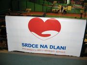 Pruhonice 06 031.jpg