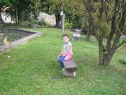 SAM_3992.jpg