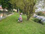 SAM_3995.jpg