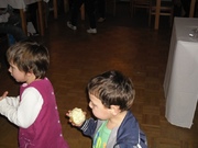 SAM_4189.jpg