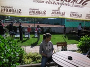 SAM_4570.jpg
