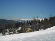 SAM_6393.JPG