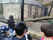 Skorojarní návštěva ZOO (13).jpg