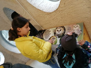 Skorojarní návštěva ZOO (16).jpg