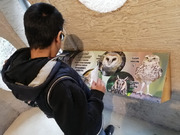 Skorojarní návštěva ZOO (17).jpg