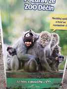 Skorojarní návštěva ZOO (19).jpg