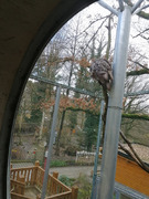 Skorojarní návštěva ZOO (21).jpg