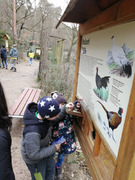 Skorojarní návštěva ZOO (23).jpg