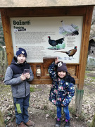 Skorojarní návštěva ZOO (24).jpg