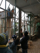 Skorojarní návštěva ZOO (25).jpg