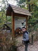 Svátek zvířat (3).jpg