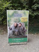 Svátek zvířat (39).jpg