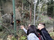 Svátek zvířat (6).jpg