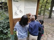 Svátek zvířat (7).jpg