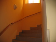 V novém 013.jpg